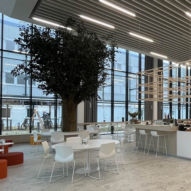 igb - Referenz Industriebau Mitarbeiter-Restaurant JENOPTIK, Bild 3